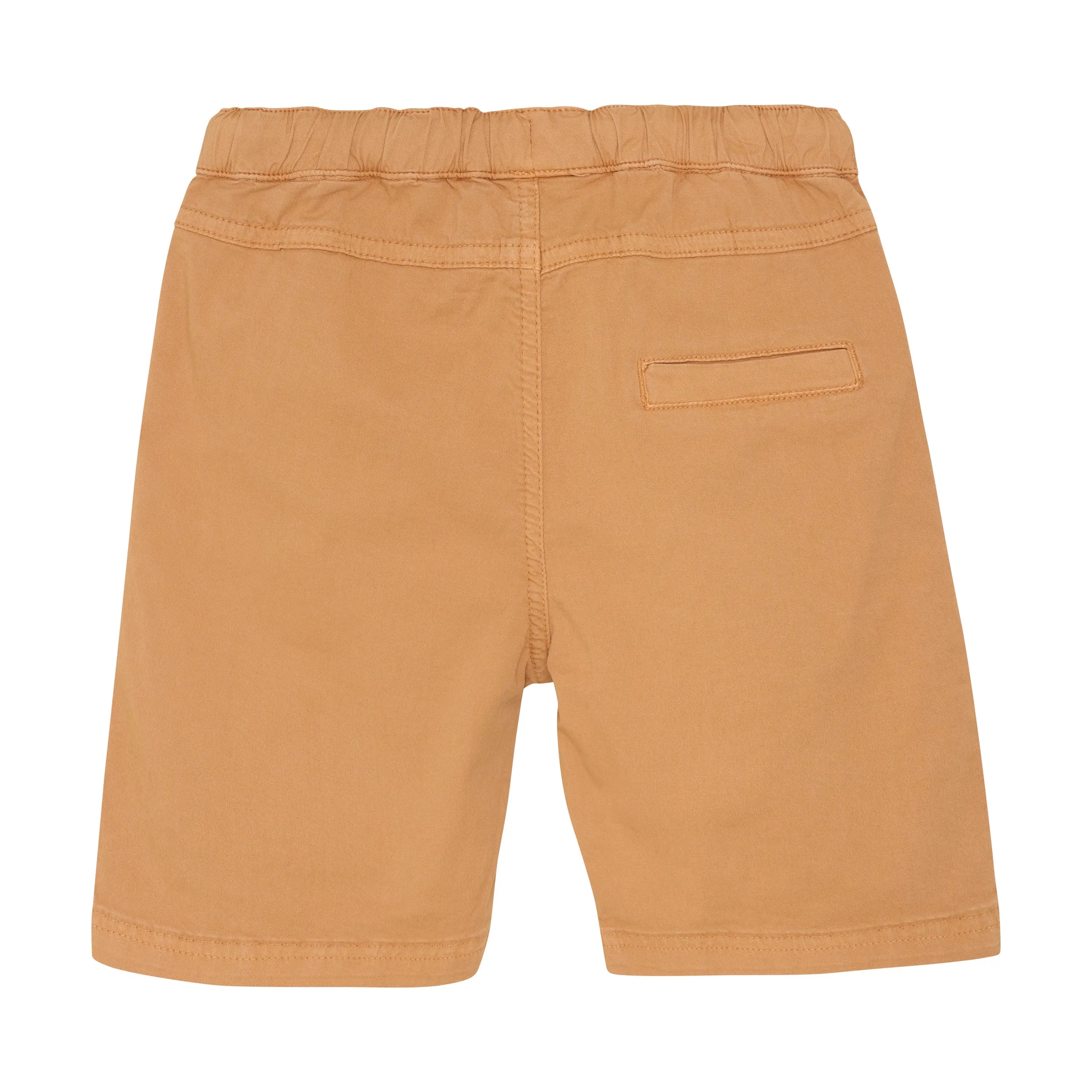 Trailblazer Cargo Shorts ROBO