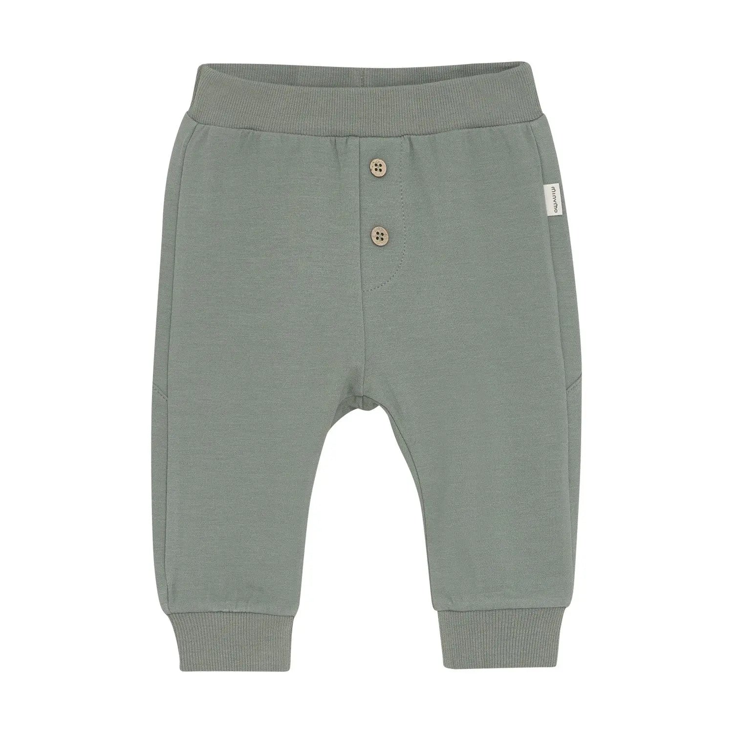 Baby Roar and Roam Dino Joggers ROBO