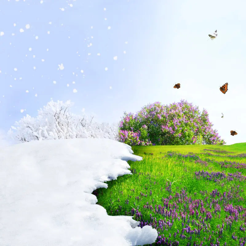 Winter to Spring Transitions: Refreshing Your Nursery and Baby’s Wardrobe