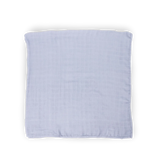 Swaddle Blanket 2 Pack - Fairy Gardens little unicorn