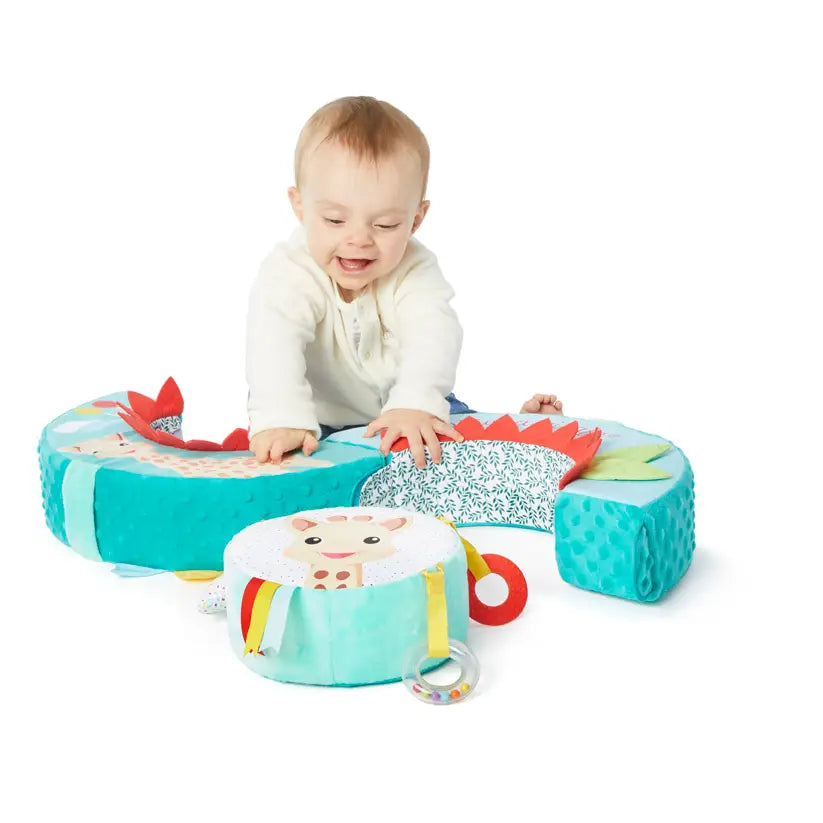 Motor Skills Wheel sophie la girafe by calisson