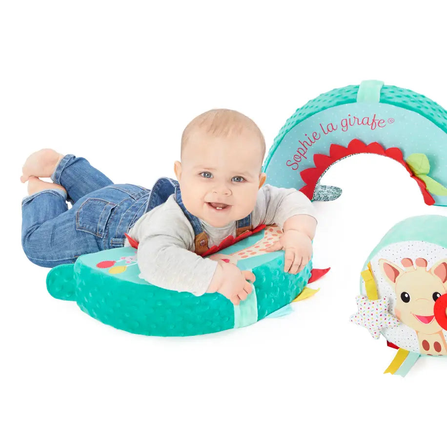 Motor Skills Wheel sophie la girafe by calisson