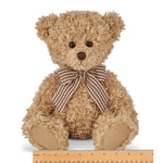 Baby Theodore the Teddy Bear Bearington Collection