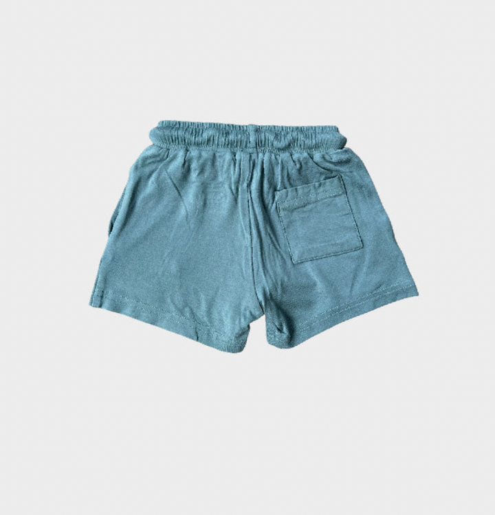 Everyday Shorts in Storm