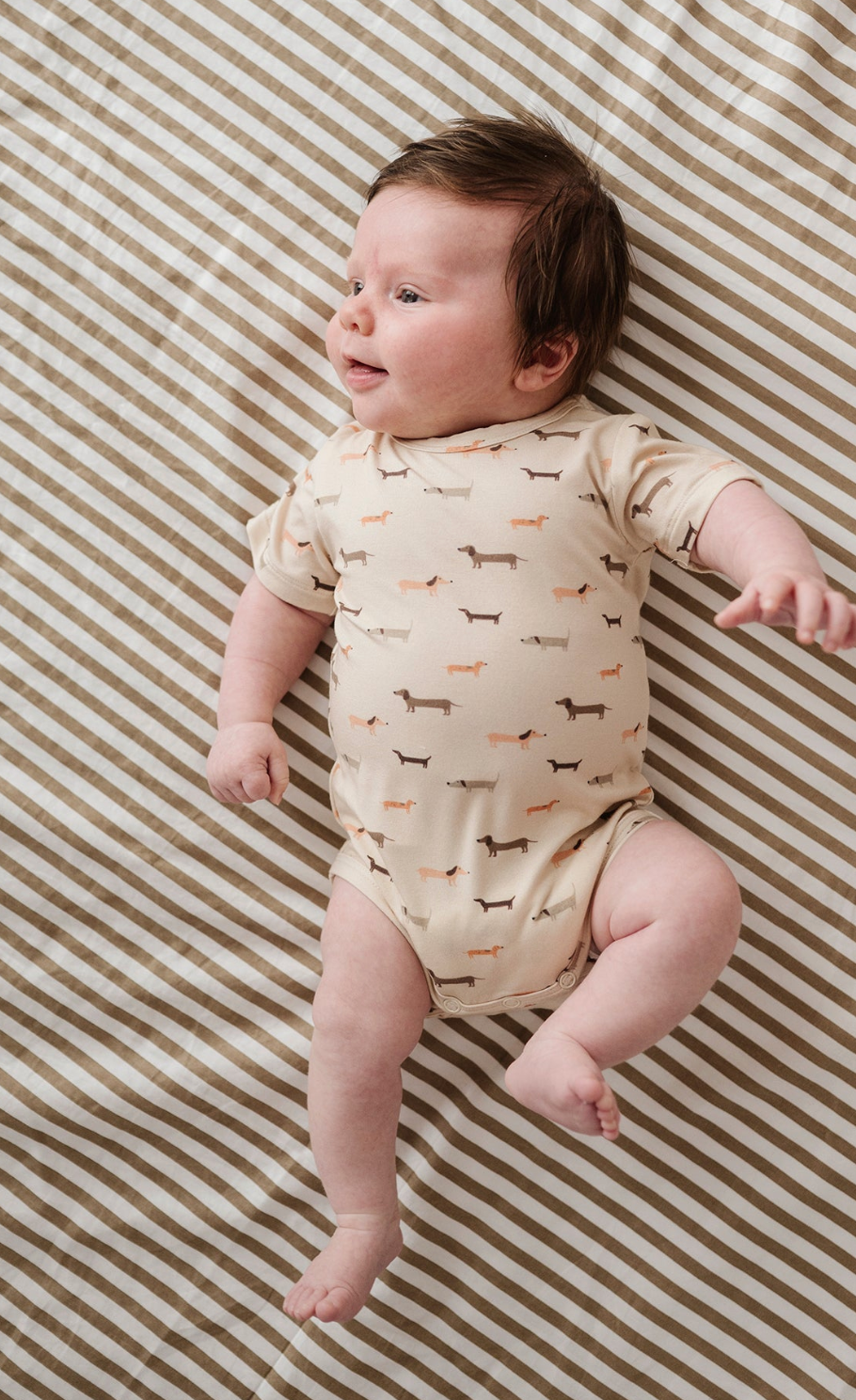 Baby Short Sleeve Bodysuit in Dino Babysprouts