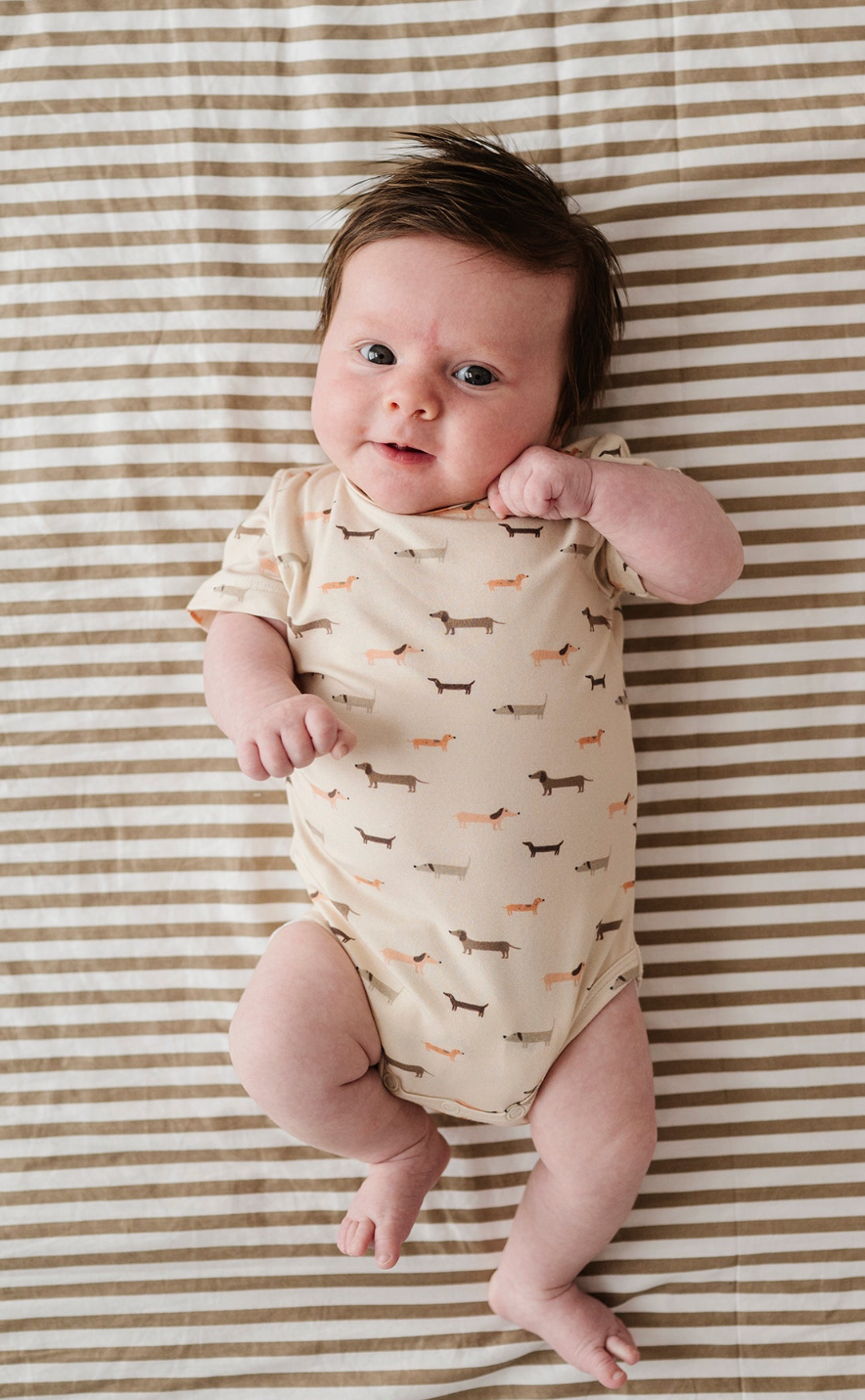 Baby Short Sleeve Bodysuit in Dino Babysprouts