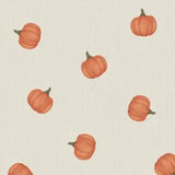 Baby Little Pumpkins - 2 Way Zipper Footie Angel Dear