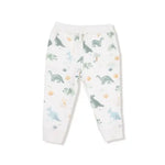 Kid Soft Dinos - French Terry- Green - Zip Hoodie and Jogger Set Angel Dear