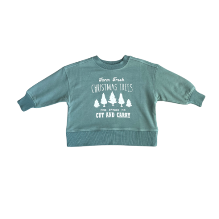 Merry & Bright Cozy Sweatshirt