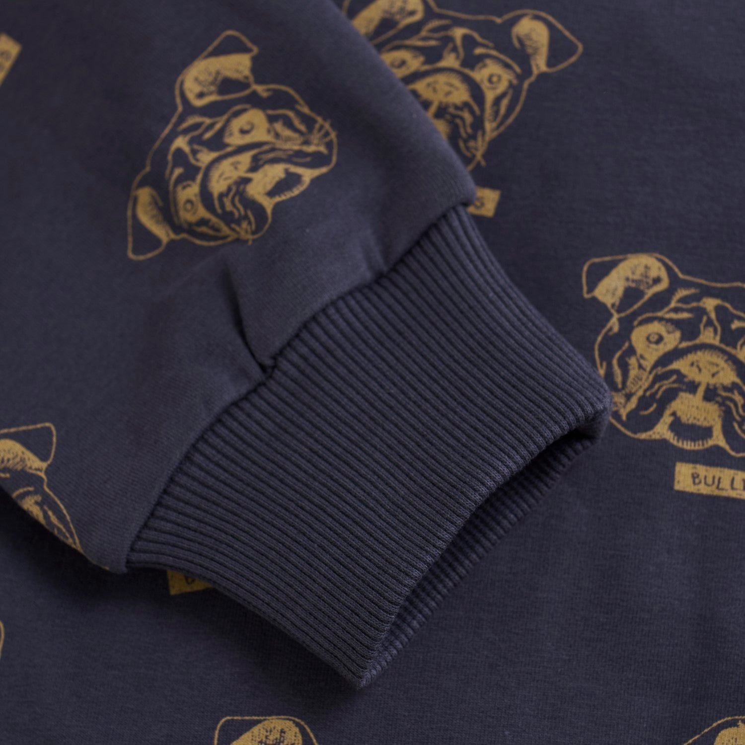 Kid Who Let The Dogs Out Sweatshirt 2 ROBO