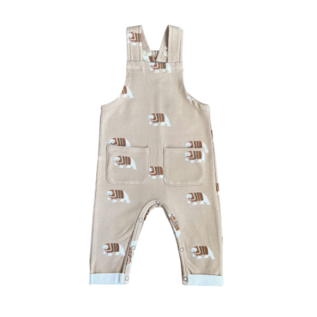 Beary Fun Adventure Overalls