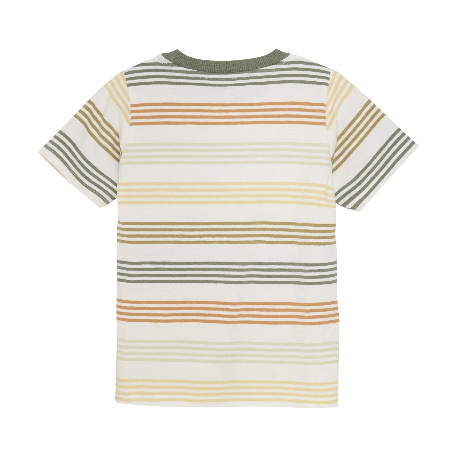 Toddler Desert Stripes Slub Tee ROBO