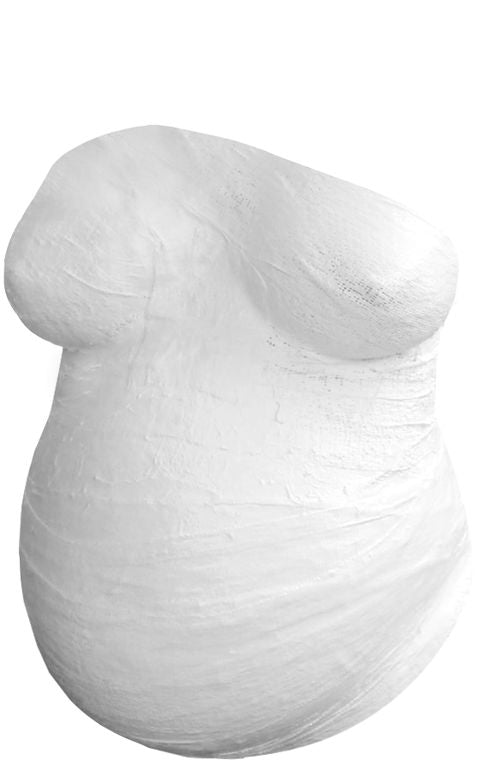 Belly Casting Pregnancy Mold Kit Pearhead Inc