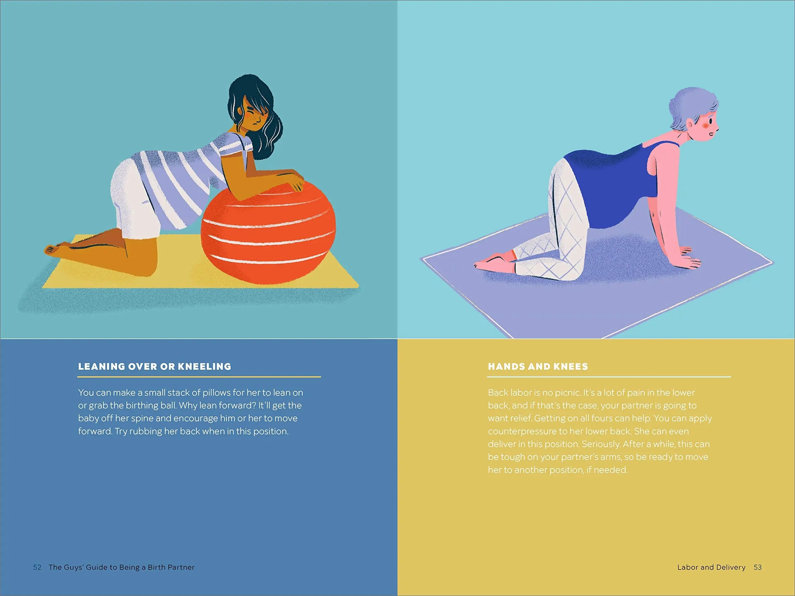 The Guys' Guide to Being a Birth Partner: Everything You Need to Plan for Birth and Bring Your Baby Home Andrew Shaw
