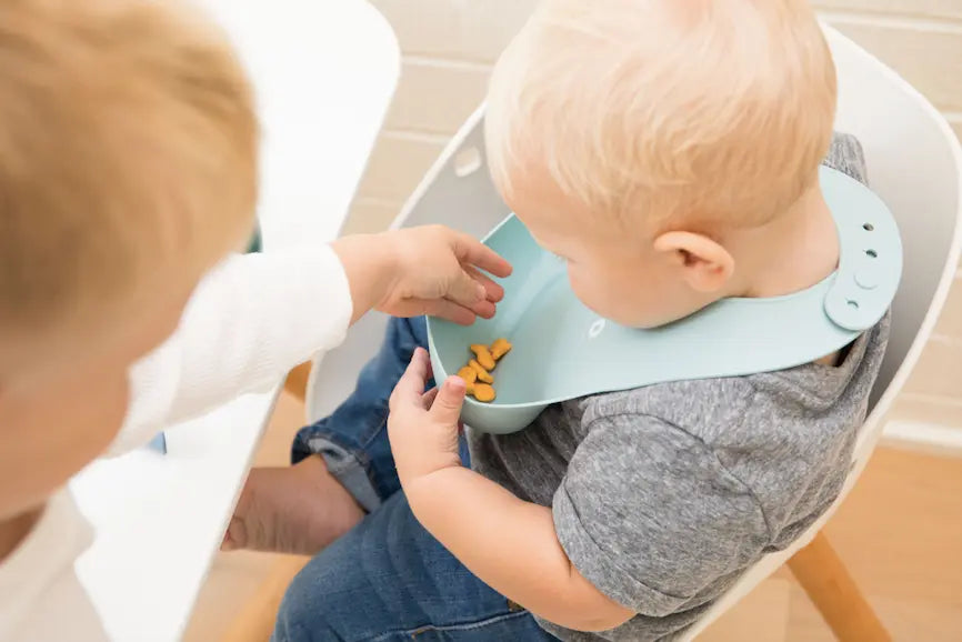Baby Bro Wonder Bib Bella Tunno