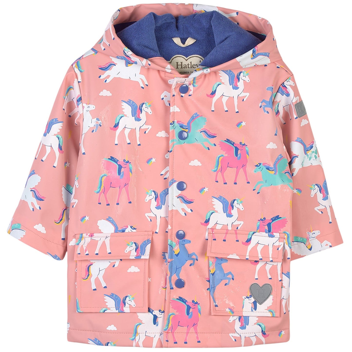 Magical Pegasus Color Changing Raincoat